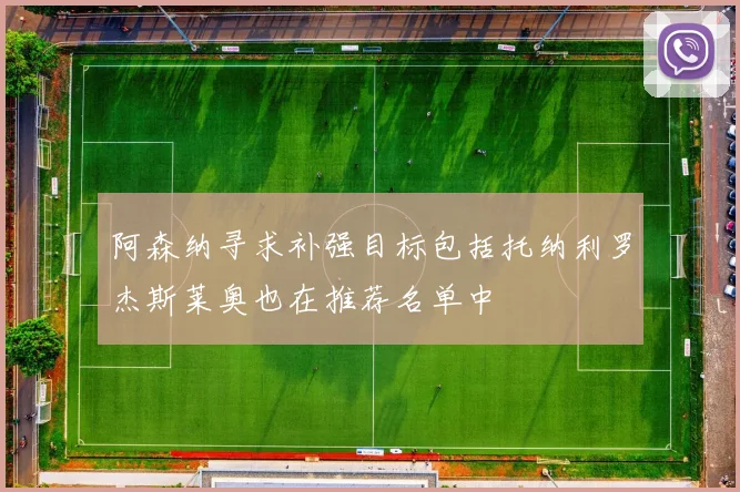 阿森纳寻求补强目标包括托纳利罗杰斯莱奥也在推荐名单中